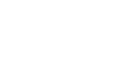 Cow Wings